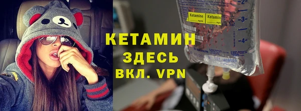 прущие грибы Инта