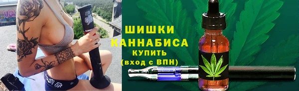 прущие грибы Инта