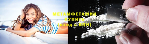 прущие грибы Инта