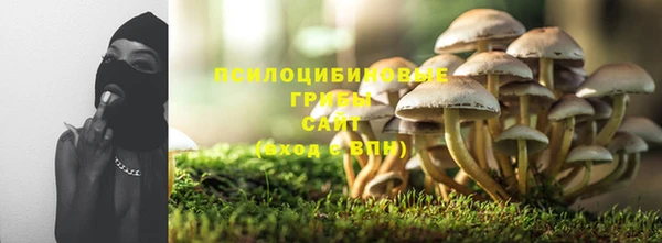 Альфа ПВП Инсар