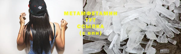 прущие грибы Инта