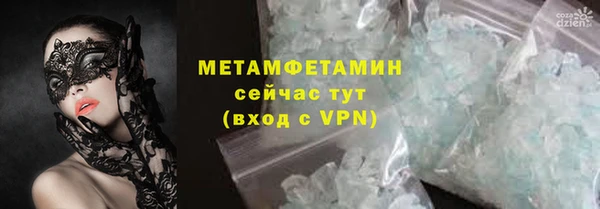 прущие грибы Инта