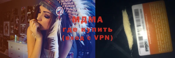 прущие грибы Инта