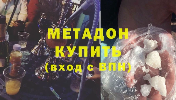 прущие грибы Инта