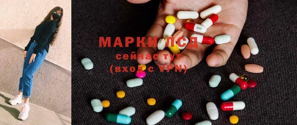 прущие грибы Инта