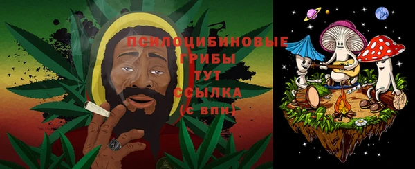 прущие грибы Инта