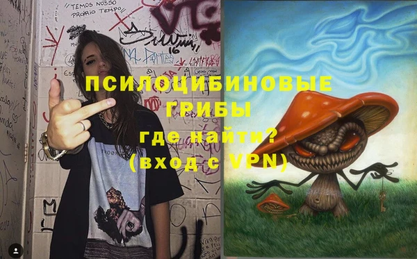 Альфа ПВП Инсар