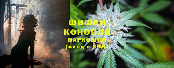 Альфа ПВП Инсар
