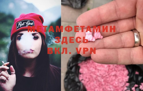 прущие грибы Инта