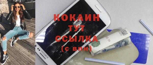прущие грибы Инта