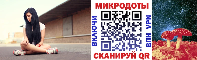 Купить  Данилов  Галлюциногенные грибы мицелий 